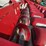 case-ih-3208-image-9