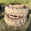 firestone-duals-15.5-38-image-4