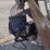 caretree-748-tree-spade-image-12
