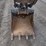 2021-bobcat-e50m-image-15