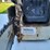 stihl-ms250-gas-chain-saw---tag-#1045-image-6