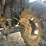 honda-foreman-500-image-10