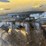 2018-caterpillar-299d2-xhp-image-11