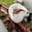 ford-tractor-image-25