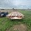 1982-s&s-flatbed-image-4