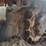2019-bobcat-t740-image-23