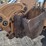 2012-case-580sn-wt-image-31