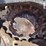 2020-bobcat-t590-image-20