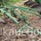john-deere-1btm-pull-type-plow-on-steel-wheels-image-1
