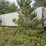 fruehauf-van-image-2