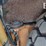 2003-case-580m-image-24