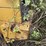 caterpillar-it24f-image-9