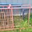 (7)-walk-through-front-livestock-gates---tag-#342-image-6