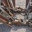 caretree-748-tree-spade-image-11