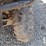 2011-john-deere-gator-xuv-825i-image-12