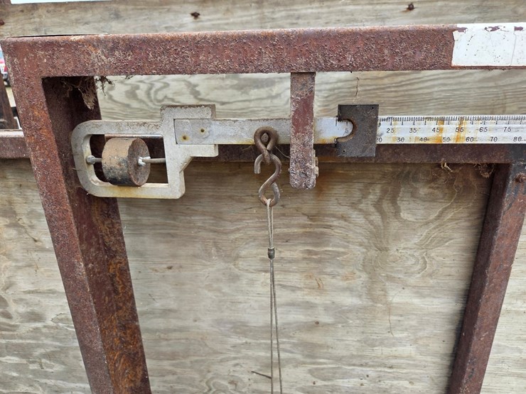 paul-1600-livestock-scales-image-13
