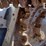 2022-bobcat-t870-image-23