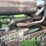 john-deere-b-image-26