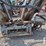 caretree-748-tree-spade-image-3
