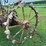 john-deere-b-image-9