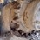 2016-bobcat-t770-image-24
