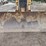 1999-caterpillar-d5c-xl-image-16
