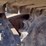 2024-machpro-mp46-image-27