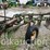 john-deere-model-555h-4btm-pull-type-plow-image-2