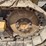 2000-deere-550h-lt-image-19