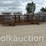 (5)-cattle-panels-w/-sorting-gate-(sold-x-$)-image-1