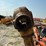 new-holland-617-image-16
