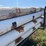 #24161-•-22'-trailer-w/approx.-44-sticks-of-perforated-8"x20'-pvc-pipe-image-9