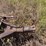 #24154-•-eddins-500-500bu-grain-cart-7070-image-8
