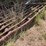 #24151-•-24'x8'-cattle-guard-image-3