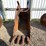 #13389-•-excavator-bucket-image-9