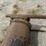 #23941-•-lot-of-(2)-12’-steel-pipe-w/gates-image-12