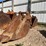 #13395-•-new-holland-bucket-image-1
