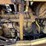 caterpillar-3306-image-20