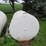2-500-gallon-fuel-barrels-image-2