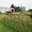 6-row-corn-reel-image-2