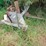 big-ox-3pt-8'-blade-17-image-1