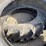 #9655-•-lot-of-(2)-goodyear-480/80r46-tire-inv#:-9655-image-9