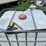 #7125-•-poly-tote-in-metal-cage-image-4