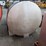 #13372-•-vermeer-mud-mixing-system-image-40
