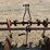 custom-2-bar-toolbar-cultivator-image-14