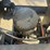 #1249-•-2011-navistar-7600-sba-6x4-2010-mixer-truck-image-37