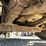 2004-freightliner-fl80-image-41