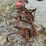 #23943-•-jeoffroy-mfg-14’-chisel-plow-image-12