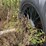 #24159-•-grain-cart-image-4