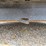 2005-ford-f350-image-27